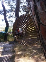 /album/fotogalljerjeja/img-20140704-105803-jpg/